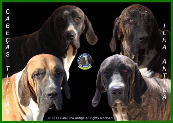 Fila Brasileiro